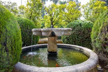 Endülüs 'te yaz mevsiminde Alcazar Seville Sarayı' nın içindeki güzel resmi halk bahçesi.