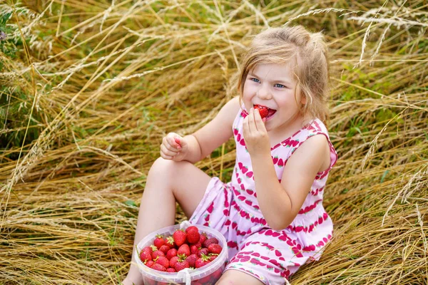 Happy Preschool Girl Eating Healthy Strawberries Organic Berry Farm Summer — ストック写真