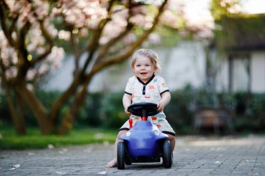 Sevimli küçük bebek kız mavi küçük oyuncak araba bahçe ev veya kreş ile oynarken. Çok güzel güzel yürümeye başlayan çocuk ile arka plan üzerinde çiçek açması Manolya. Aktif oyun açık havada çocuklu