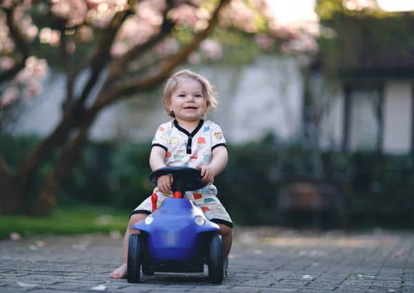 可爱的小女孩玩蓝色的小玩具车在花园的家庭或托儿所 可爱的美丽的幼儿与盛开的木兰在背景 户外活动儿童游戏 — 图库照片