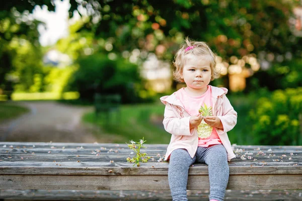 Милая Очаровательная Девочка Играющая Цветущими Цветами Каштана Маленький Ребенок Выходит — стоковое фото