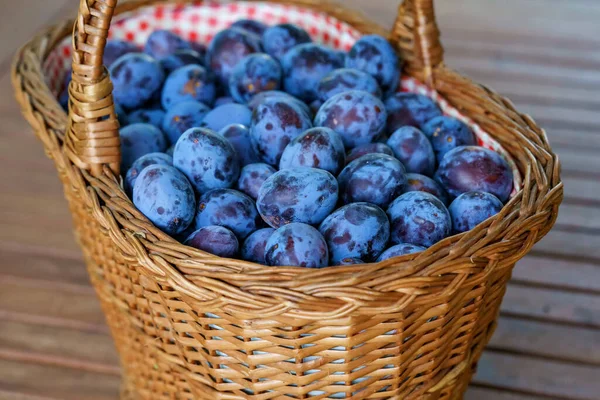 Plums Wicker Basket Sun Summer Garden Fresh Plums Farm Organic — Stock Photo, Image