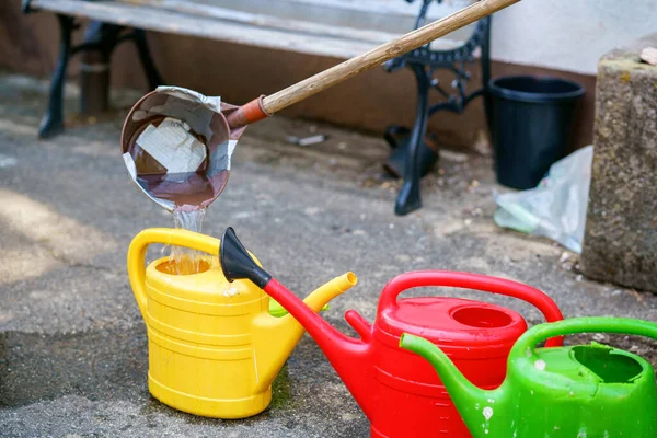 collect rainwater and reusing it to water the paints and flowers in a backyard with different cans. Environment and save drink water during drought and heat