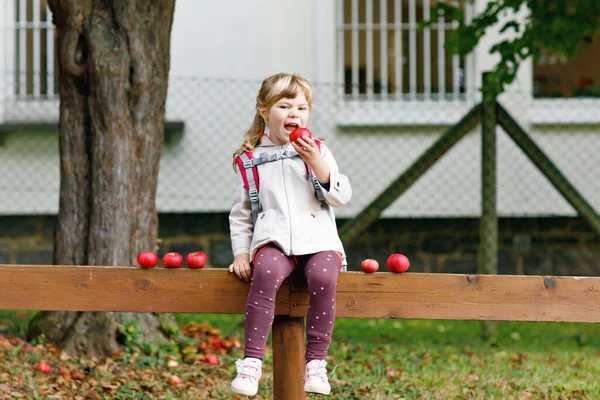 Niña Linda Comer Manzana Roja Madura Feliz Niño Preescolar Sonriente — Foto de Stock