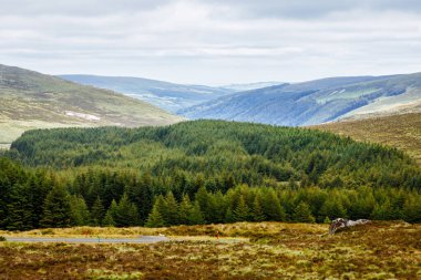 Glendalough Vadisi'nde pastoral görünümü, County Wicklow, İrlanda. Dağlar, göl ve turistler yürüyüş yolları.