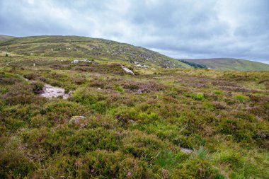 Glendalough Vadisi'nde pastoral görünümü, County Wicklow, İrlanda. Dağlar, göl ve turistler yürüyüş yolları.