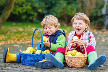 Evlerin bahçesinde elma yiyen iki sevimli çocuk. Kendi hasadım. Anaokulu çocukları, tatlı kardeşler ve sonbahar günü meyve toplayan ikizler..