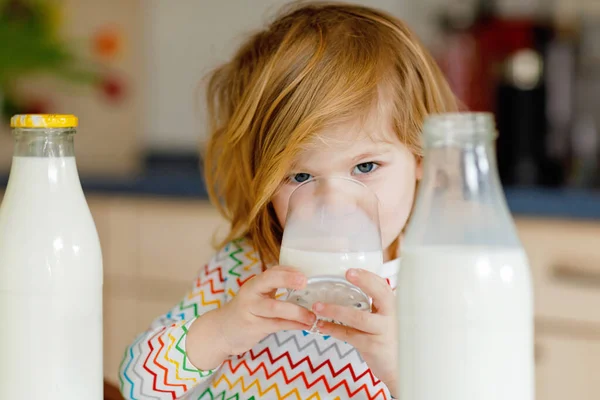 可爱的蹒跚学步的小女孩早餐喝牛奶 可爱的女婴 有很多瓶子 以牛奶为健康钙来源的健康儿童 早上在家或托儿所里的小孩 — 图库照片