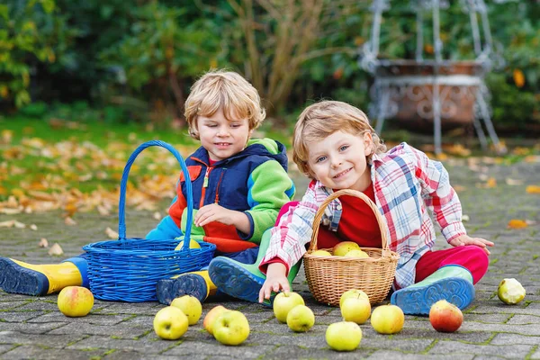 Due Adorabili Ragazzini Che Mangiano Mele Giardino All Aperto Vendemmia — Foto Stock