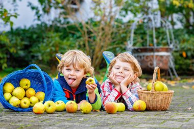 Evlerin bahçesinde elma yiyen iki sevimli çocuk. Kendi hasadım. Anaokulu çocukları, tatlı kardeşler ve sonbahar günü meyve toplayan ikizler..