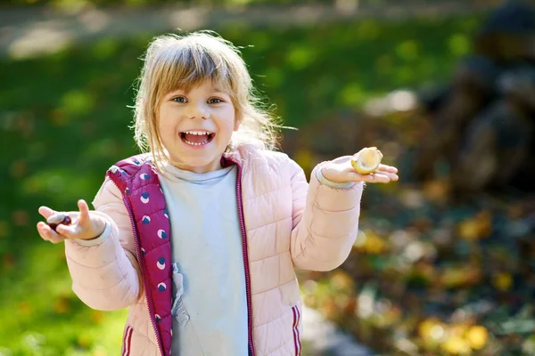 秋天的一天 可爱可爱的小女孩在公园里摘栗子 快乐的孩子在寻找栗子和树叶时很开心 与儿童一起进行的自体活动 — 图库照片