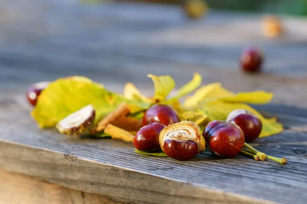 Färska Kastanjer Som Höst Bakgrund Ett Bord — Stockfoto