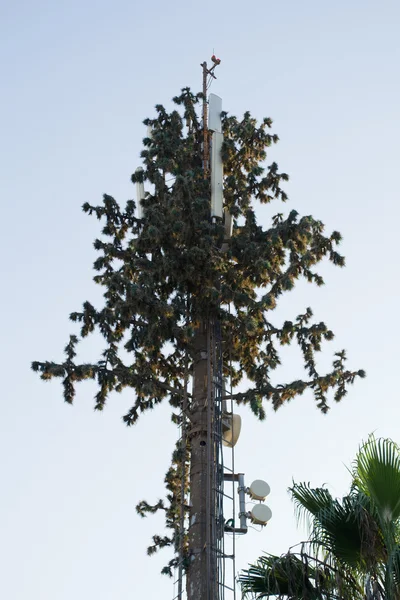Torre del telefono cellulare albero — Foto Stock