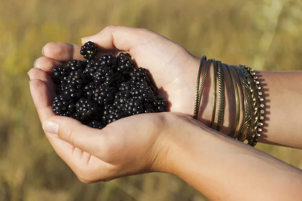 Blackberries in the hands