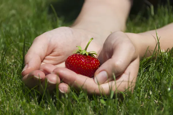 Appetizing strawberry in hands — Stock Photo, Image