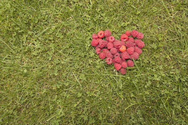 Corazón de frambuesas en la hierba —  Fotos de Stock