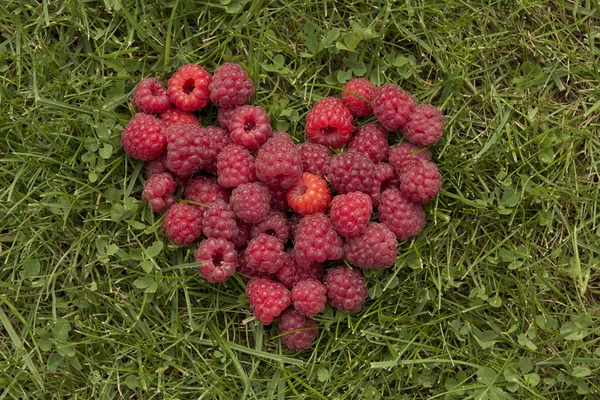Heart of raspberries on the grass — Stock Photo, Image