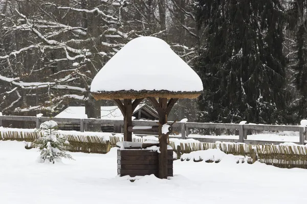 Pokryte śniegiem dobrze w lesie zimą kolorowe — Zdjęcie stockowe