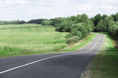 alan, yol ve çalılar, renkli yatay