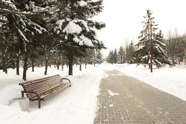 Paseo lateral en el parque cubierto de nieve en invierno —  Fotos de Stock