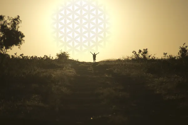 Чоловік стоїть руками вгору біля встановленого сонця з квіткою — стокове фото