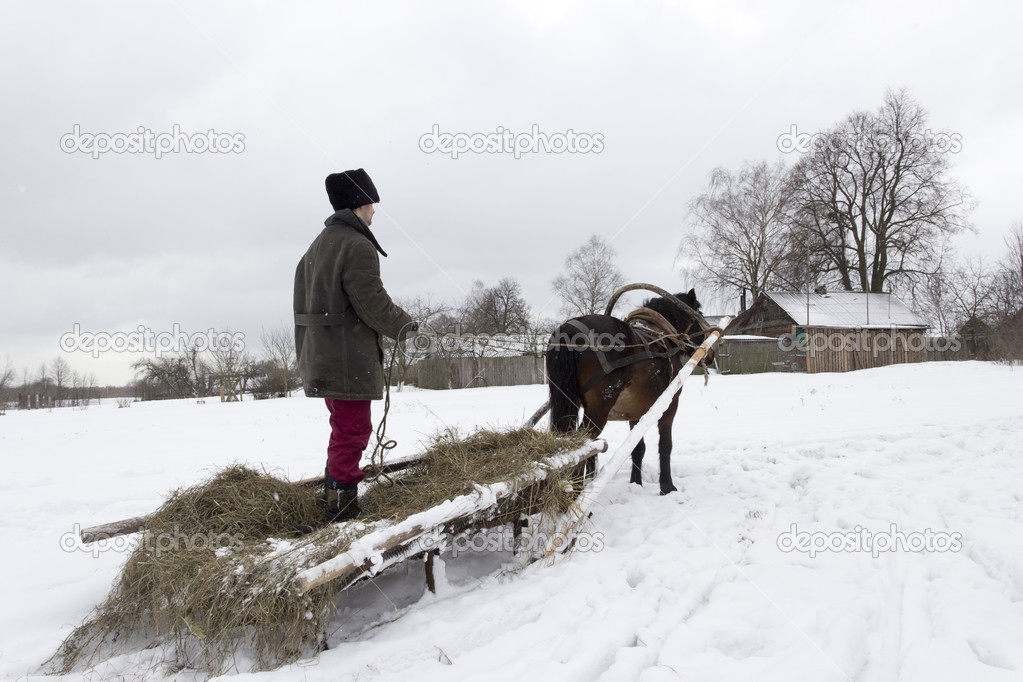 Man standing on sled rides on horse
