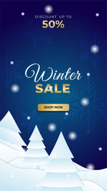 Kış Noel indirimli afiş ya da indirimli metinli poster. Sosyal ağlar için arka plan şablonu. Özel teklifler sezon satışları. Vektör illüstrasyonu