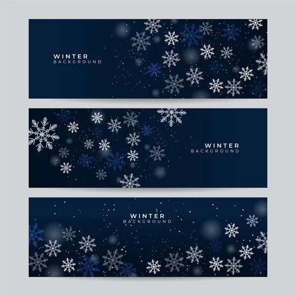 Conjunto Banner Azul Natal Com Flocos Neve Feliz Natal Feliz — Vetor de Stock
