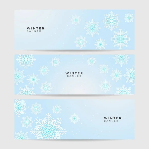 Inverno Macio Azul Snowflake Design Banner Modelo — Vetor de Stock