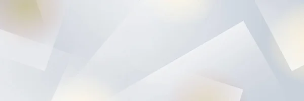 Affiche Abstraite Fond Gris Blanc Aux Lignes Dynamiques Ondulées Réseau — Image vectorielle