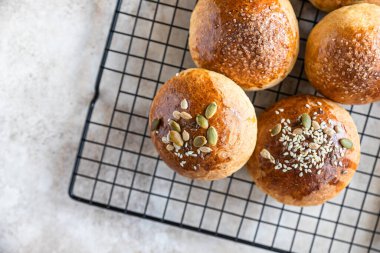 Kahverengi şeker ya da çekirdekli taze ev yapımı balkabağı çörekleri, açık beton arka plan. Sonbahar fırını.