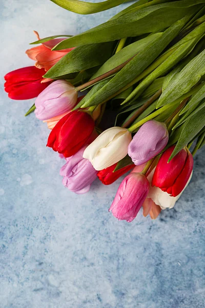 Tulipanes coloridos sobre un fondo de hormigón azul. Flores de primavera. Vista superior. Copiar espacio. —  Fotos de Stock