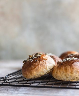 Tarçın ve anason kaplı balkabaklı çörekler, açık beton arka plan..