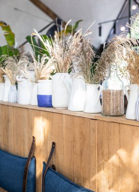 Buğday kulaklı farklı vazolar. Kamış ya da kuru bitkiler. Çevre konsepti. Minimalist iç kafe ya da kahve evi.
