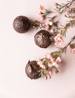 Pembe arka planda çikolatalı mantarlar, pembe çiçeklerle süslenmiş. Üst Manzara. Tasarım için yer. Minimalizm.