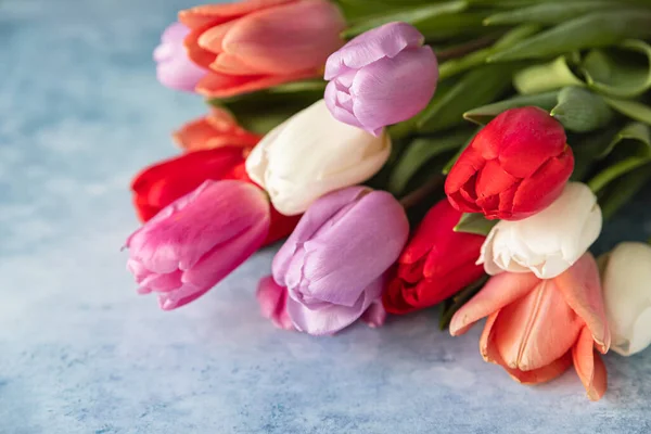 Kolorowe tulipany na niebieskim betonowym tle. Kwiaty wiosenne. — Zdjęcie stockowe
