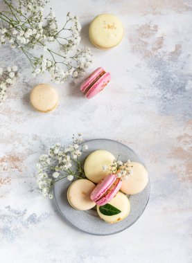 Fransız badem kurabiyelerinin pastel renkleri ve gri beton arka planda çingene çiçekleri. Üst görünüm.