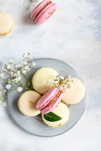 Macarons assortis français couleurs pastel avec des fleurs de gypsophila sur fond de béton gris. Vue du dessus. — Photo