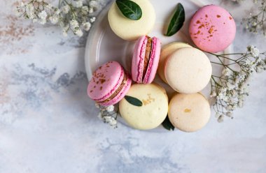 Gri beton arka planda çingene çiçekli makarna ya da badem kurabiyesi. Pastel renkleri Fransız tatlısı ve taze çiçekler..