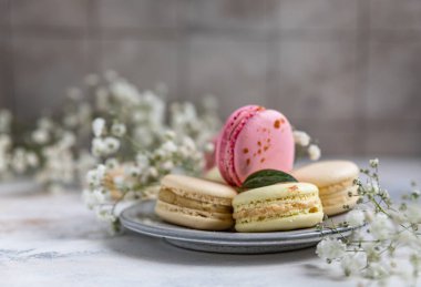 Gri beton arka planda çingene çiçekli makarna ya da badem kurabiyesi. Pastel renkleri Fransız tatlısı ve taze çiçekler..