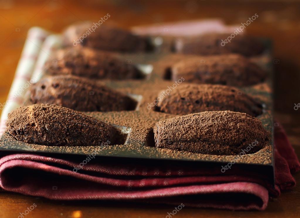 Traditional French Madeleine Cookies Or Cakes With Chocolate Honey And Cocoa Powder In A Vintage Baking Mold On Rustic Kitchen Towel Photo By Anna Traditional French Madeleine Cookies Or Cakes With Chocolate Honey And Cocoa Powder In A Vintage Baking Mold On Rustic Kitchen Towel Photo By Anna