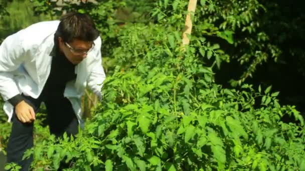 Botany plant science scientist — Stock Video