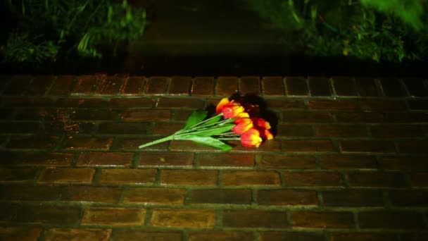 Üzgün çiçek yağmur yağıyor — Stok video