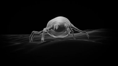 toz miti konsepti elektron