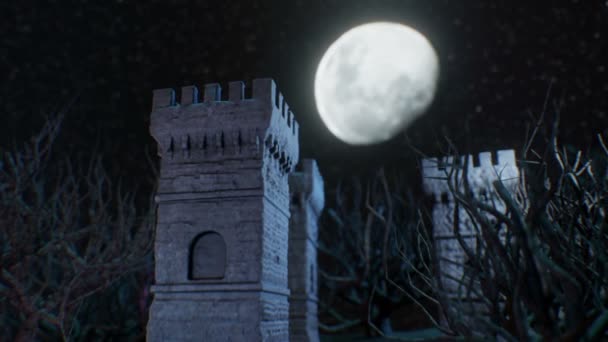 Castelo na pedra da noite — Vídeo de Stock