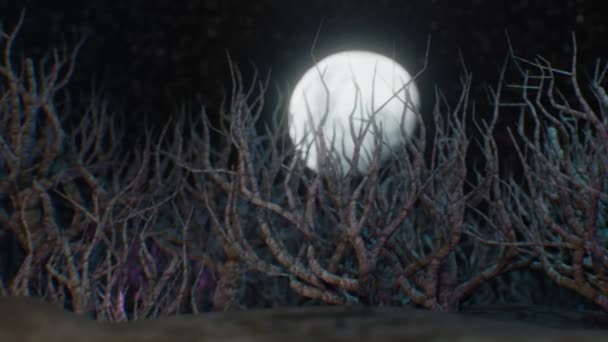 Пухнастий ліс і місяць CGI — стокове відео