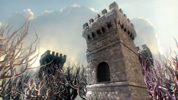 Vecchio castello durante il giorno2 — Video Stock