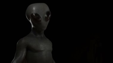 Döngülü uzaylı hareketsiz duruyor