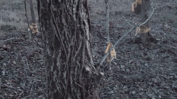 Токсичная Зона Проект Застройки Деревьями Скотчем — стоковое видео