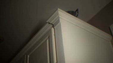 Hayaletlerin içindeki ürkütücü gölge eller..